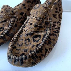 Primigi Suede Animal Print Loafers size 13.5 / 32